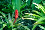 010-DSC_8974.JPG.small.jpeg