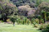 012-DSC_8978.JPG.small.jpeg