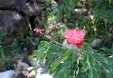015-DSC_8983.JPG.small.jpeg