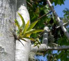 019-DSC_8989.JPG.small.jpeg