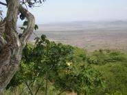 img013.jpeg.small.jpeg