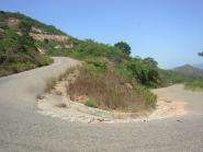 img004.jpeg.small.jpeg