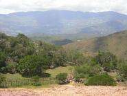 img008.jpeg.small.jpeg