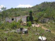 img010.jpeg.small.jpeg