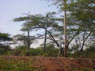img022.jpeg.small.jpeg
