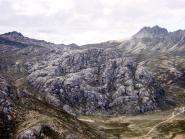 img005.jpeg.small.jpeg
