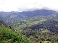 img010.jpeg.small.jpeg
