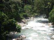 img012.jpeg.small.jpeg