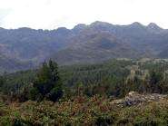 img018.jpeg.small.jpeg