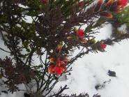 img023.jpeg.small.jpeg