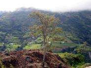 img034.jpeg.small.jpeg