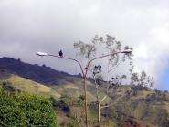 img037.jpeg.small.jpeg