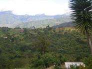 img040.jpeg.small.jpeg