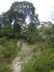 img041.jpeg.small.jpeg