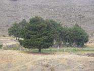 img013.jpeg.small.jpeg